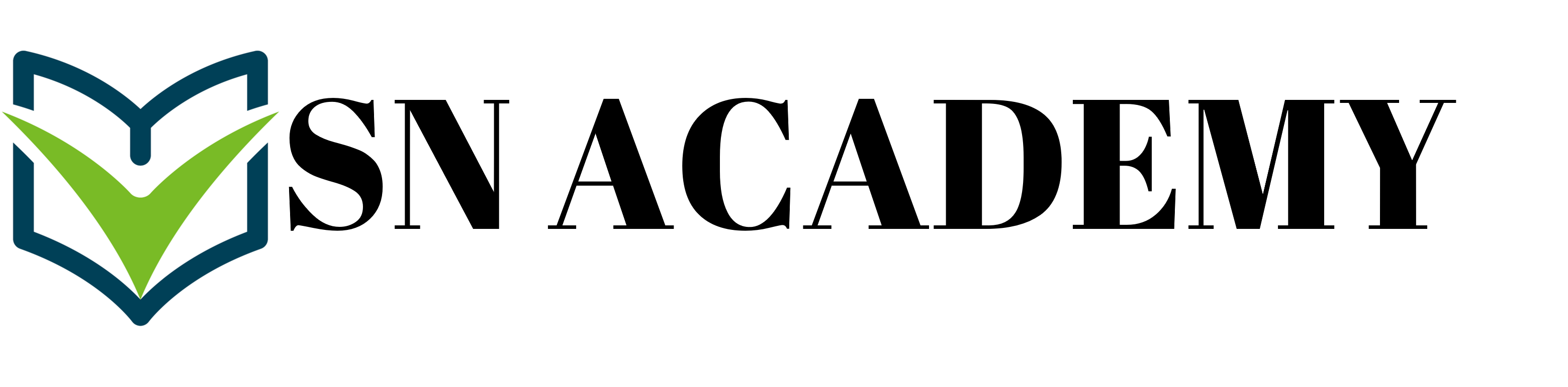 SN Academy
