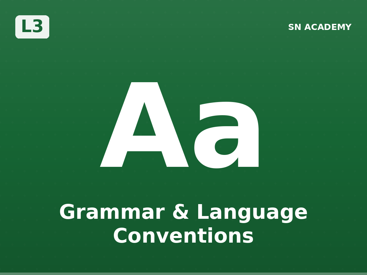 ✏️ L3 · Grammar & Language Conventions